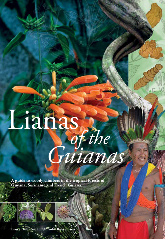 Lianas of the Guianas
